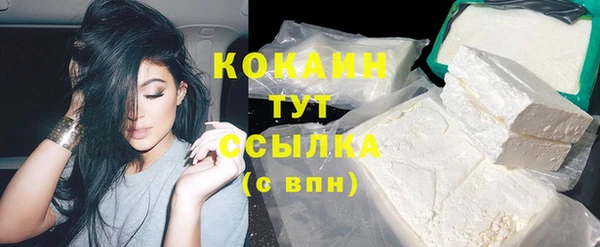 ПСИЛОЦИБИНОВЫЕ ГРИБЫ Верхний Тагил