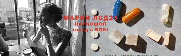 ПСИЛОЦИБИНОВЫЕ ГРИБЫ Верхний Тагил