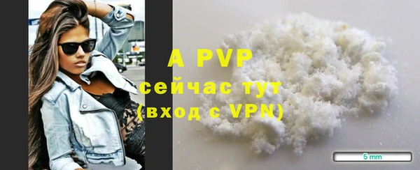 ПСИЛОЦИБИНОВЫЕ ГРИБЫ Верхний Тагил