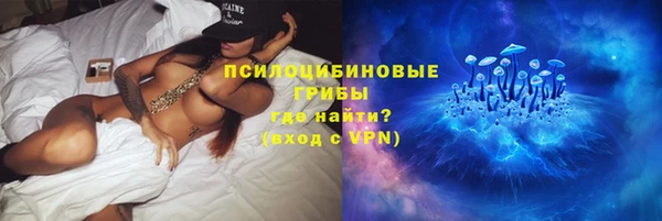 ПСИЛОЦИБИНОВЫЕ ГРИБЫ Верхний Тагил