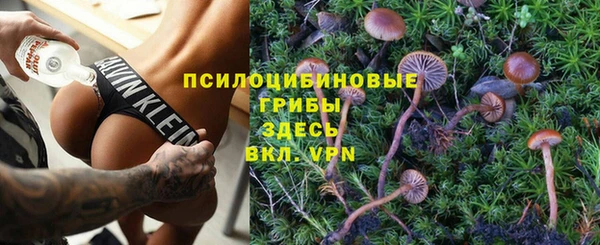 бошки Верхнеуральск