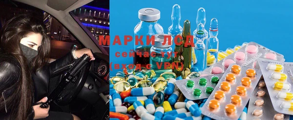 ПСИЛОЦИБИНОВЫЕ ГРИБЫ Верхний Тагил