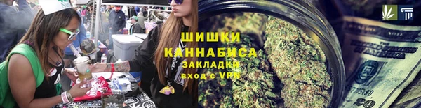 ПСИЛОЦИБИНОВЫЕ ГРИБЫ Верхний Тагил