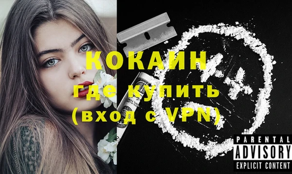 ПСИЛОЦИБИНОВЫЕ ГРИБЫ Верхний Тагил