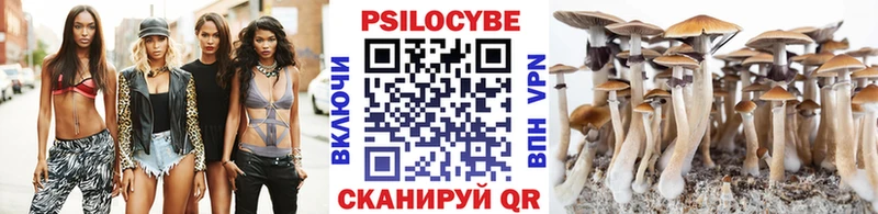 mega ТОР  Шилка  Галлюциногенные грибы Psilocybe 